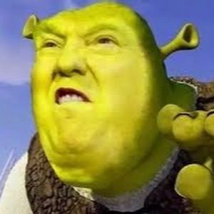 Meet your Posher, Kylee